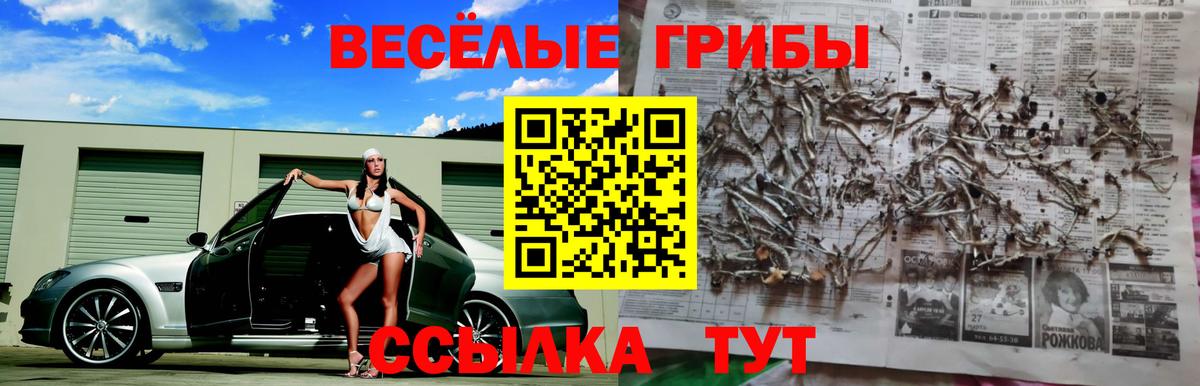 Галлюциногенные грибы GOLDEN TEACHER Ярцево
